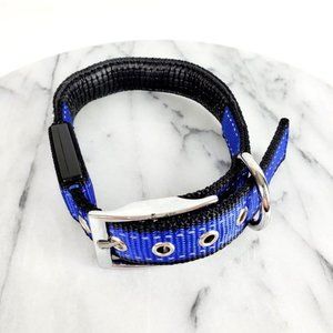 Blue Light Up Dog Collar